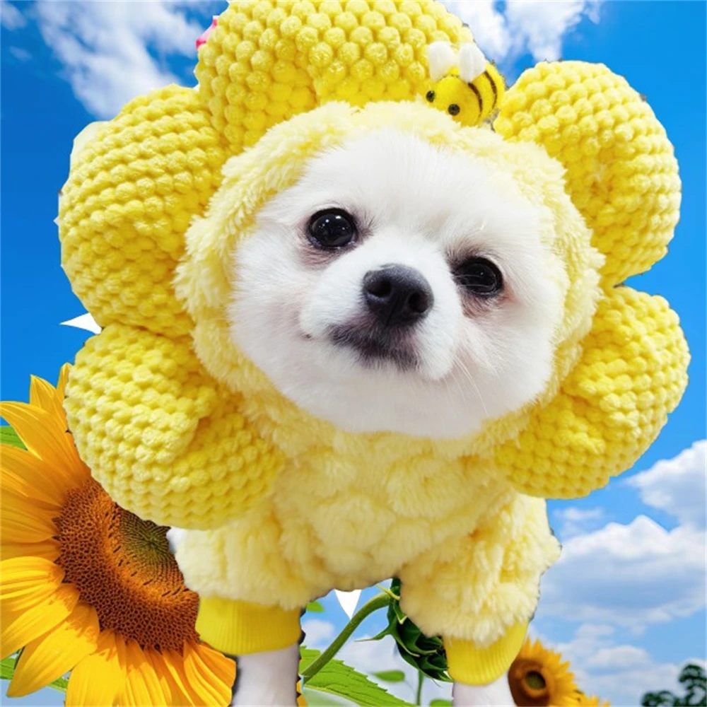 Winter Warm Dog Sweater Soft Fleece Pet Hoodie for Small Dogs Comfortable Puppy Coat Jacket Plush Cats and Dogs Hooded Clothes
Winter Warm Dog Sweater Soft Fleece Pet Hoodie for Small Dogs Comfortable Puppy Coat Jacket Plush Cats and Dogs Hooded Clothes