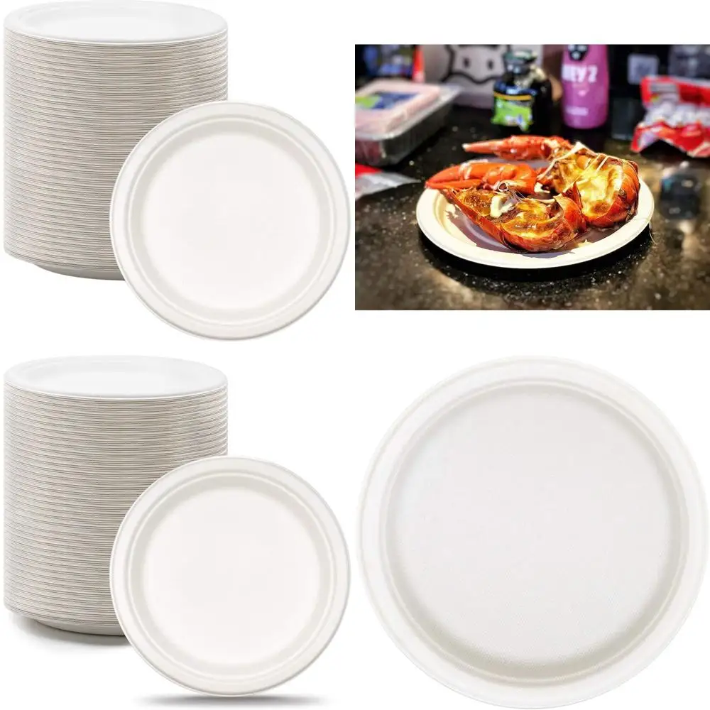 Eco-Friendly 9 Sugarcane Fiber Plates, Biodegradable & Compostable, 500 Pack Disposable Dinnerware
Eco-Friendly 9 Sugarcane Fiber Plates, Biodegradable & Compostable, 500 Pack Disposable Dinnerware