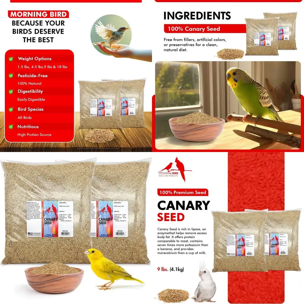 Семена канарки — богатые питанием в витаминах и добавлениях для птиц — идеально подходят для здоровых перьев и прочных семян костей для всех
Семена канарки — богатые питанием в витаминах и добавлениях для птиц — идеально подходят для здоровых перьев и прочных семян костей для всех