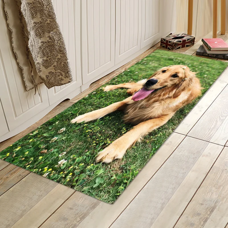 Kitchen carpet, home entrance doormat, washable bathroom, non slip modern living room carpet, animal dog, balcony floor mat
Kitchen carpet, home entrance doormat, washable bathroom, non slip modern living room carpet, animal dog, balcony floor mat