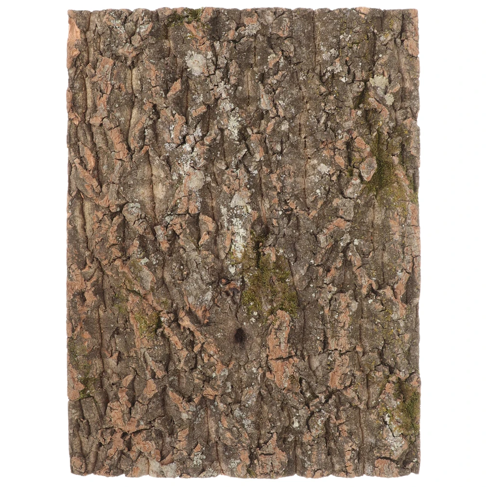 Natural Tree Bark Background Board 20x30cm Reptile Tank Decor Safe Material Lifelike Environment Fish Tank Landscaping Reptile
Natural Tree Bark Background Board 20x30cm Reptile Tank Decor Safe Material Lifelike Environment Fish Tank Landscaping Reptile