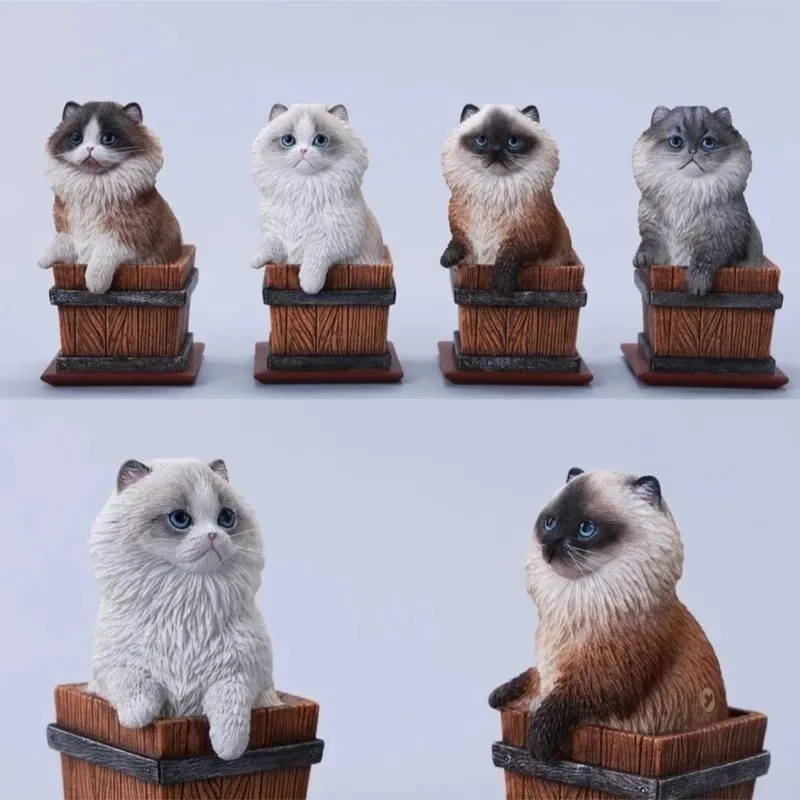 Модель кошки JXK, масштаб 1/6, из смолы, в деревянной коробке, имитация кошки, милый кот Рэгдолл, сиамская кошка, настольные декоративные украшения, подарок
Модель кошки JXK, масштаб 1/6, из смолы, в деревянной коробке, имитация кошки, милый кот Рэгдолл, сиамская кошка, настольные декоративные украшения, подарок