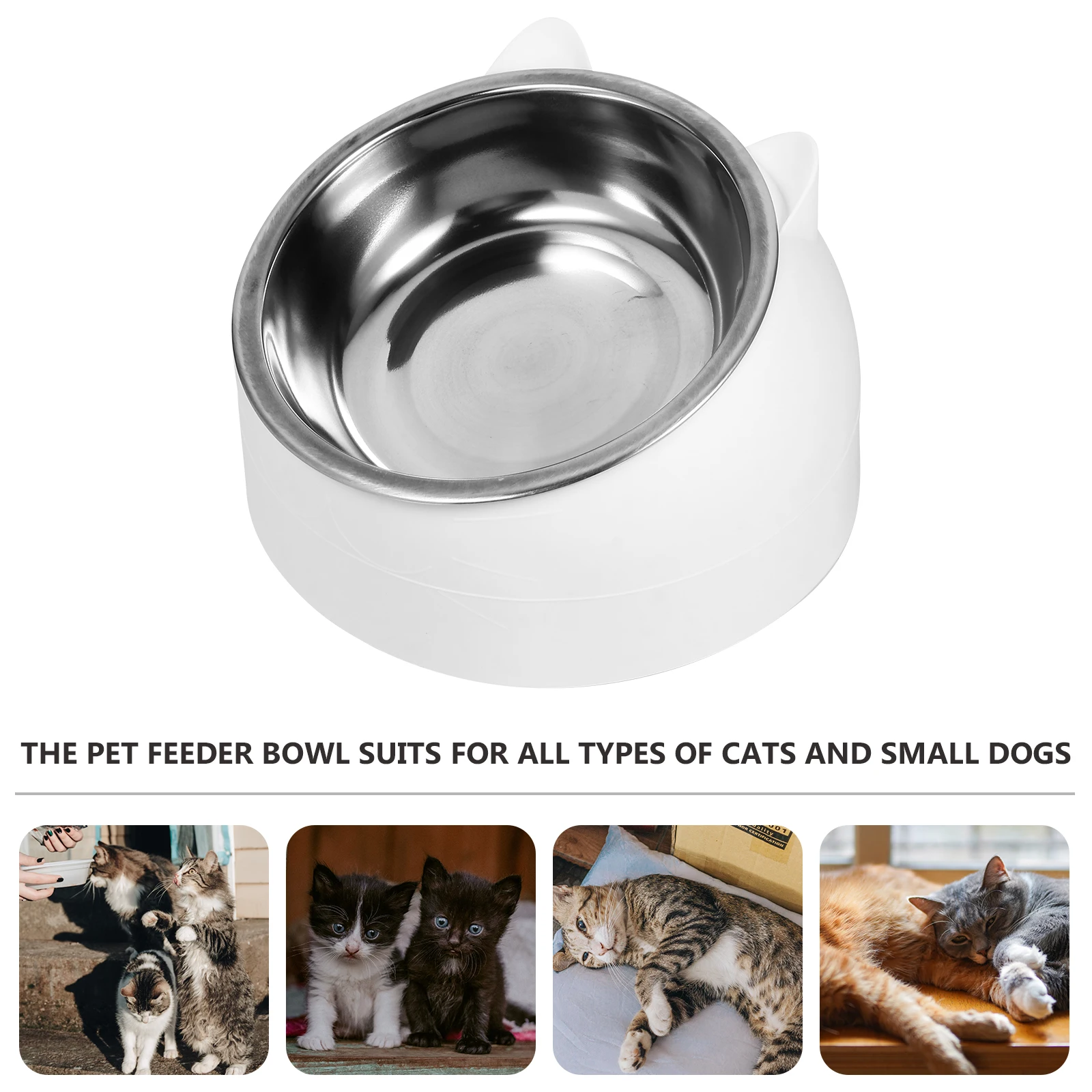 1 set Elevated Cat Bowl Stainless Steel Tilted Design Anti-slip Base Prevent Beard Squash Easy Eating Drinking Water Bowls Pet
1 set Elevated Cat Bowl Stainless Steel Tilted Design Anti-slip Base Prevent Beard Squash Easy Eating Drinking Water Bowls Pet
