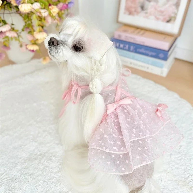 Lace Puppy Dresses Dog Summer Breathable Mesh Skirt Strap Bow Vest Teddy Small Pet Clothing Puppy Clothes for Small Dogs
Lace Puppy Dresses Dog Summer Breathable Mesh Skirt Strap Bow Vest Teddy Small Pet Clothing Puppy Clothes for Small Dogs