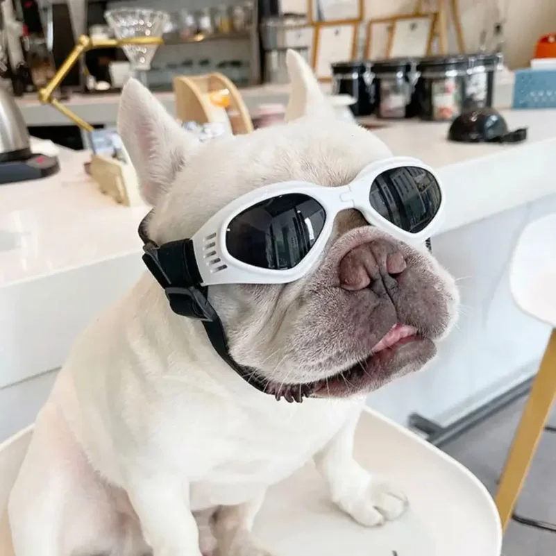 Cute Foldable Pet Sunglasses Adjustable Clear Vision Dog Eyewear Waterproof Air Hole Design Dogs Goggles Photography Prop
Cute Foldable Pet Sunglasses Adjustable Clear Vision Dog Eyewear Waterproof Air Hole Design Dogs Goggles Photography Prop