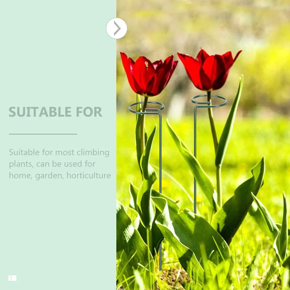3Pcs Plant Climbing Support Rack Sturdy Iron Flower Stand for Garden Potted Plants Outdoor Plant Holder Frame Flower Rack
3Pcs Plant Climbing Support Rack Sturdy Iron Flower Stand for Garden Potted Plants Outdoor Plant Holder Frame Flower Rack