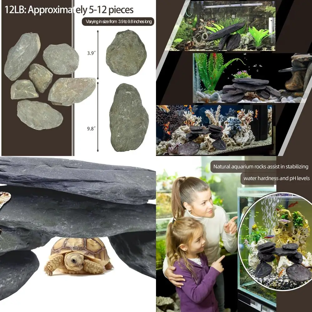 7/12 Pounds Natural Stream Slab Stones,Dragon-Rock Stone,Seiryu Stones Perfect for Aquariums,Fish Tanks,Terrariums,Landscaping M
7/12 Pounds Natural Stream Slab Stones,Dragon-Rock Stone,Seiryu Stones Perfect for Aquariums,Fish Tanks,Terrariums,Landscaping M