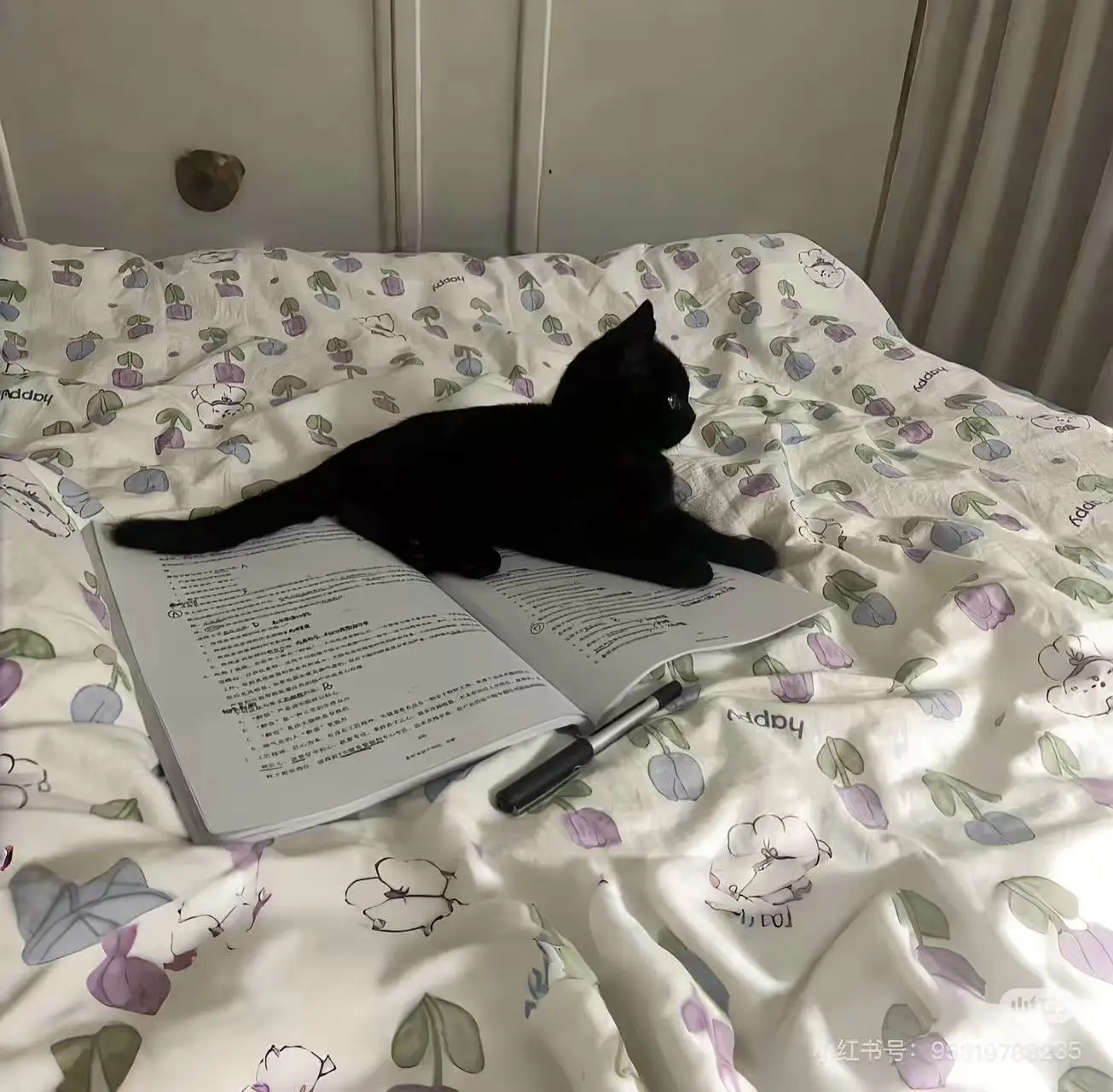 Аппарат для терапии лица с кислородным куполом от O2 до Derm для омоложения кожи 
Аппарат для терапии лица с кислородным куполом от O2 до Derm для омоложения кожи