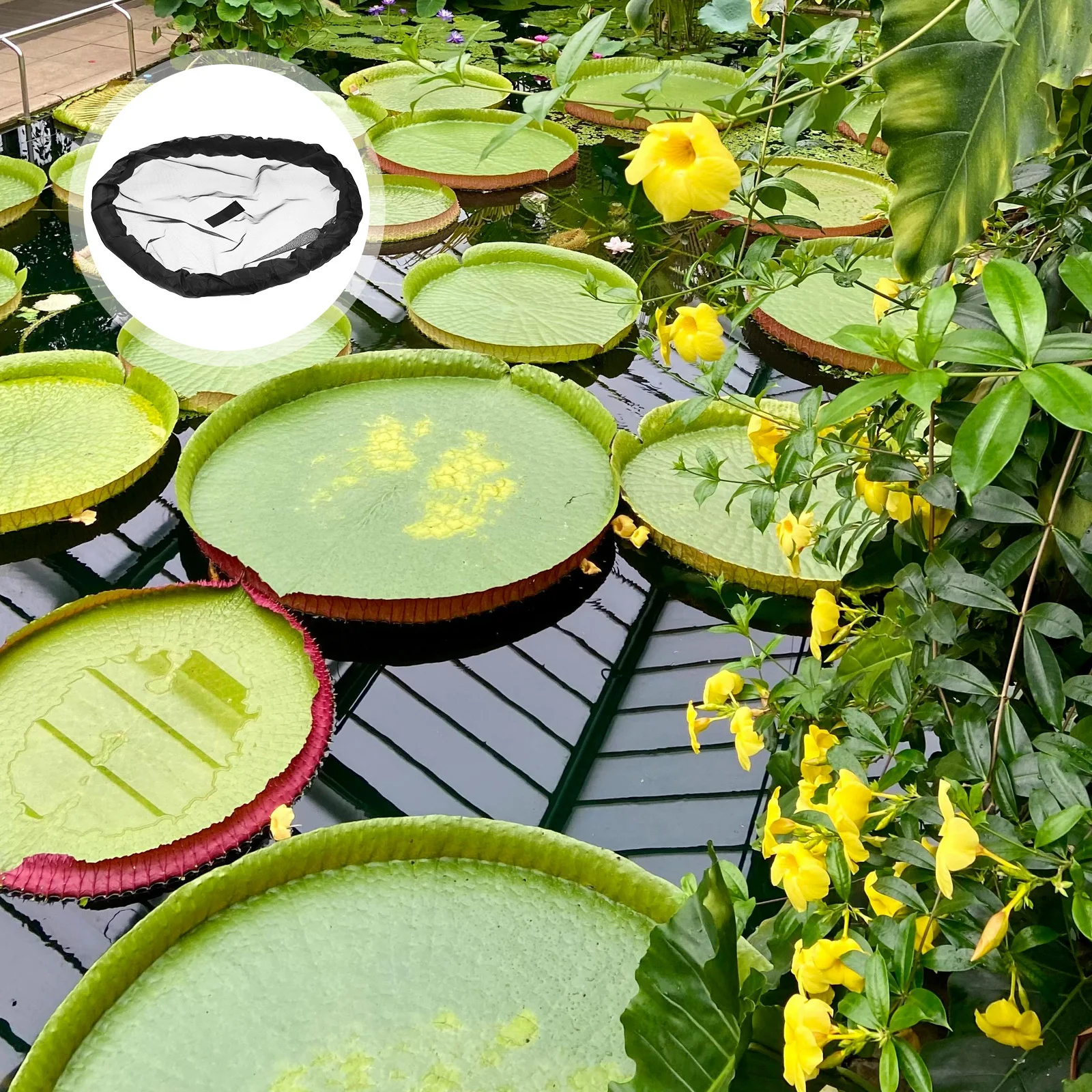 Floating Pond Plant Protection Mesh Round Floating Island Netting Barrier Water Garden Plant Safety Shield Water Garden Netting
Floating Pond Plant Protection Mesh Round Floating Island Netting Barrier Water Garden Plant Safety Shield Water Garden Netting