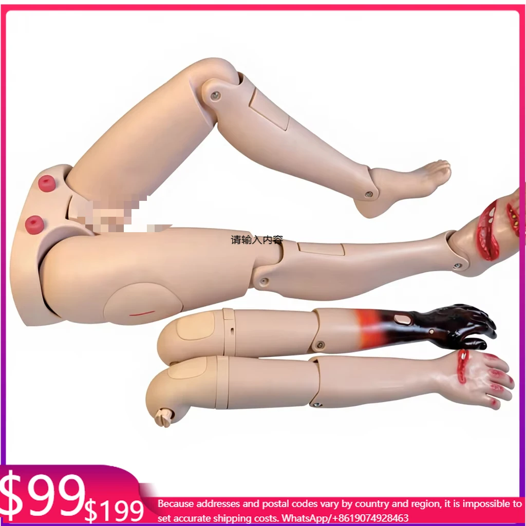 Interchangeable Trauma Iimb Model Wound Simulation, Nursing Practice Model