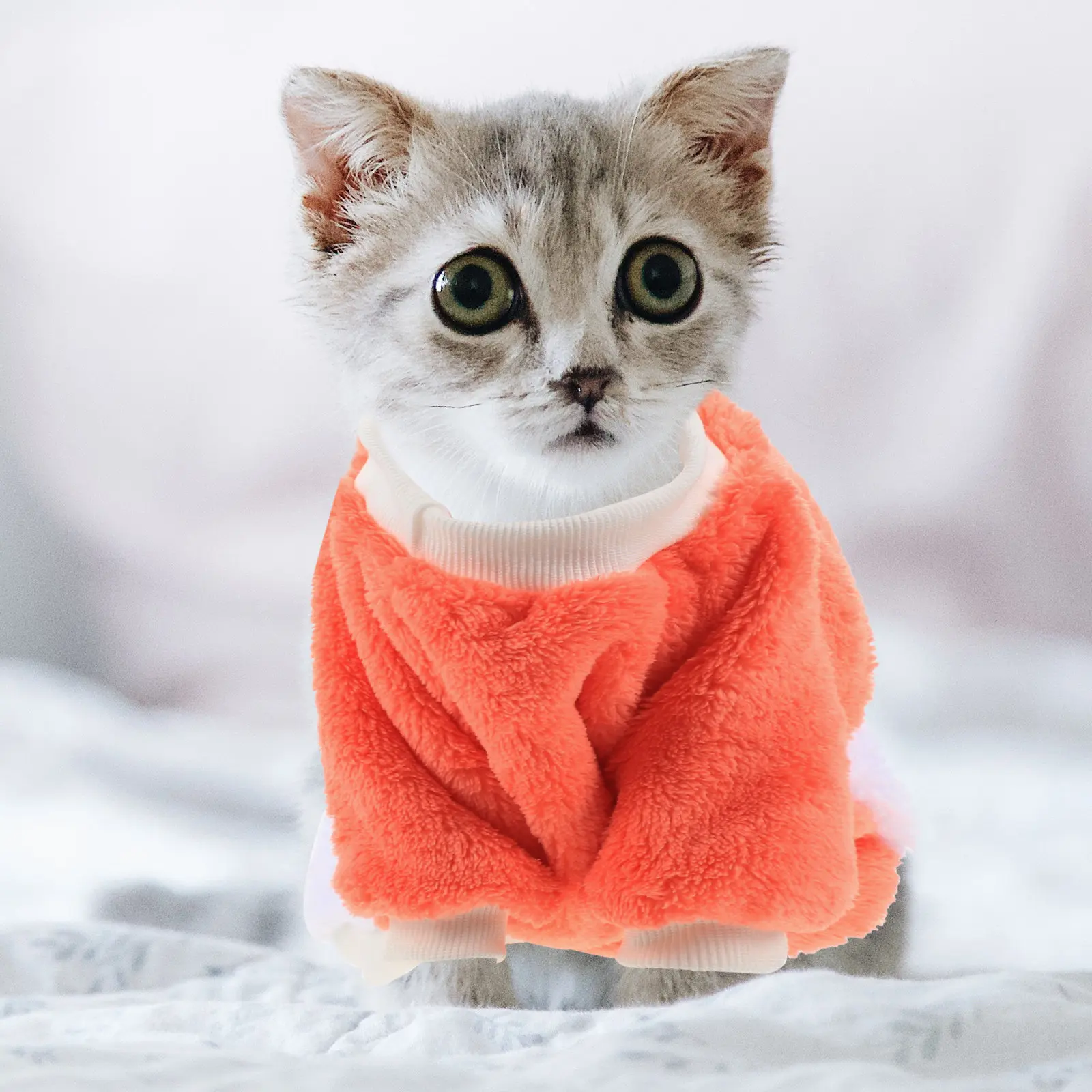 Модная одежда для собак: цельный комбинезон из кораллового флиса с закрытыми лапками, мягкий и удобный костюм для щенков, идеально подходит для фотосессий
Модная одежда для собак: цельный комбинезон из кораллового флиса с закрытыми лапками, мягкий и удобный костюм для щенков, идеально подходит для фотосессий