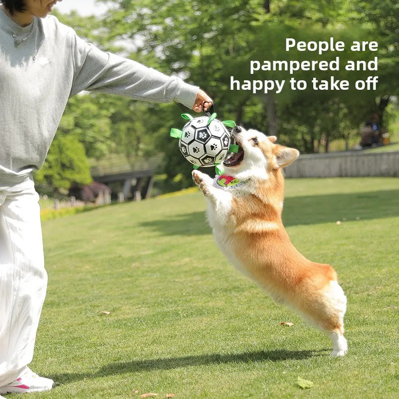 Dog Toy Ball - Training Dog Football Bite-resistant Molar Pet Supplies
Dog Toy Ball - Training Dog Football Bite-resistant Molar Pet Supplies