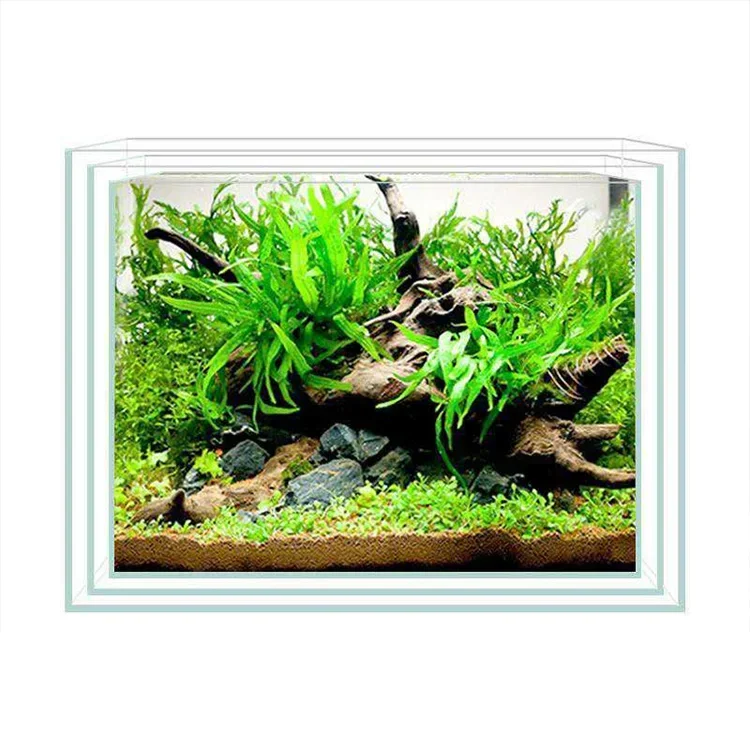Clear and Transparent Small Aquarium Tank Rubber Strip Uniform White Glass Fish Tank Aquarium Glass
Clear and Transparent Small Aquarium Tank Rubber Strip Uniform White Glass Fish Tank Aquarium Glass