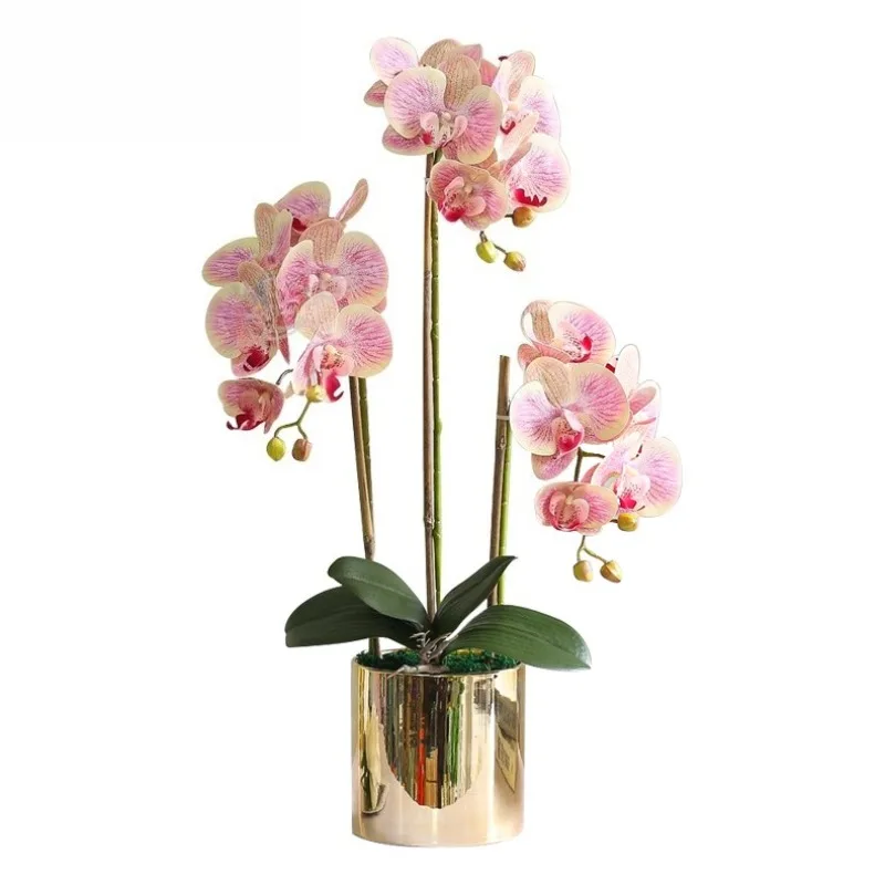 Flowers fake plants real touch advanced artificial decoration home decoration indoor artificial orchid wholesale
Flowers fake plants real touch advanced artificial decoration home decoration indoor artificial orchid wholesale