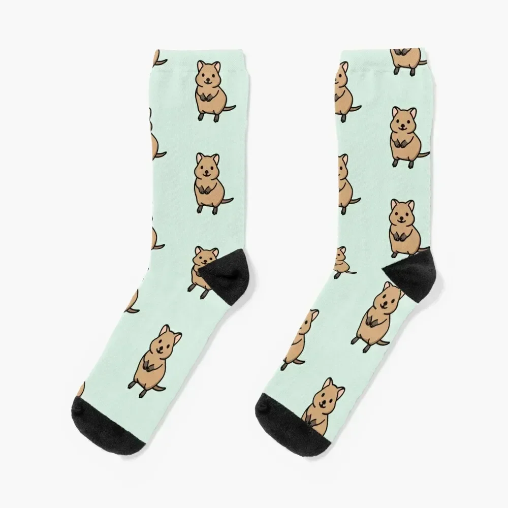 Quokka Socks sports and leisure moving stockings Hiking boots loose Men Socks Luxury Brand Women's
Quokka Socks sports and leisure moving stockings Hiking boots loose Men Socks Luxury Brand Women's