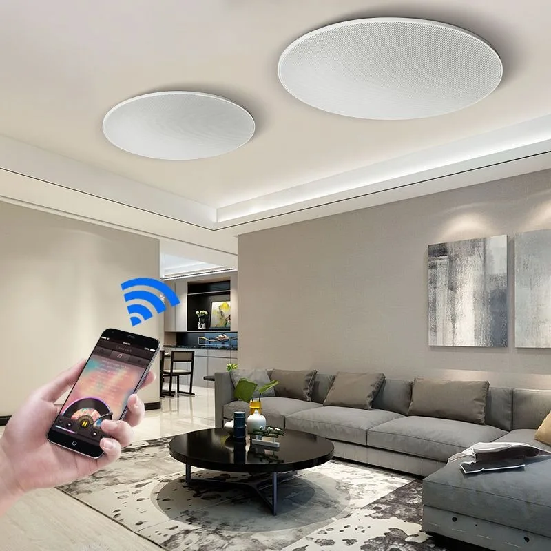 Audio Commercial Store Home Living Room Heavy Bass Embedded Ceiling Speaker
Audio Commercial Store Home Living Room Heavy Bass Embedded Ceiling Speaker