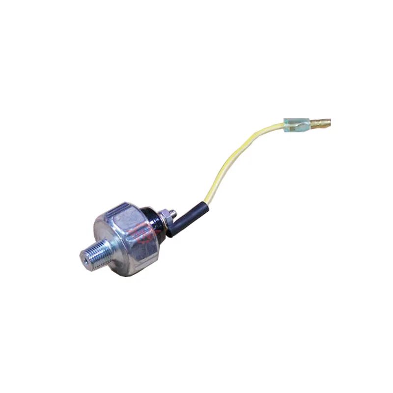 Applicable To Isuzu 4JG1 Engine Oil Pressure Sensor, Pressure Switch Sensor 1-8241003-0
Applicable To Isuzu 4JG1 Engine Oil Pressure Sensor, Pressure Switch Sensor 1-8241003-0
