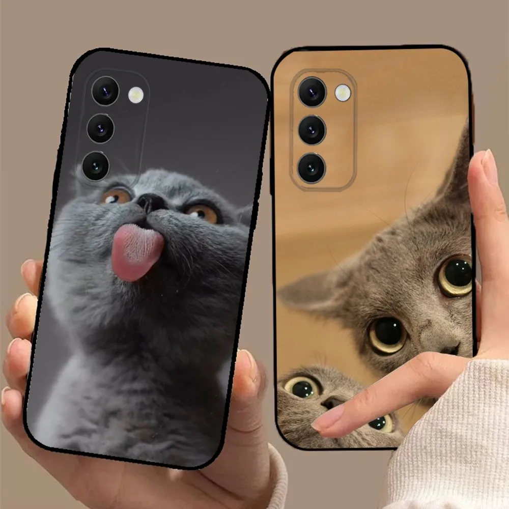 British shorthair cat Phone Case For Samsung S24,23,23,22,30,21,10,9,Note20 Ultra,Lite,Ultra,5G,Plus,FE,Black Soft Case
British shorthair cat Phone Case For Samsung S24,23,23,22,30,21,10,9,Note20 Ultra,Lite,Ultra,5G,Plus,FE,Black Soft Case