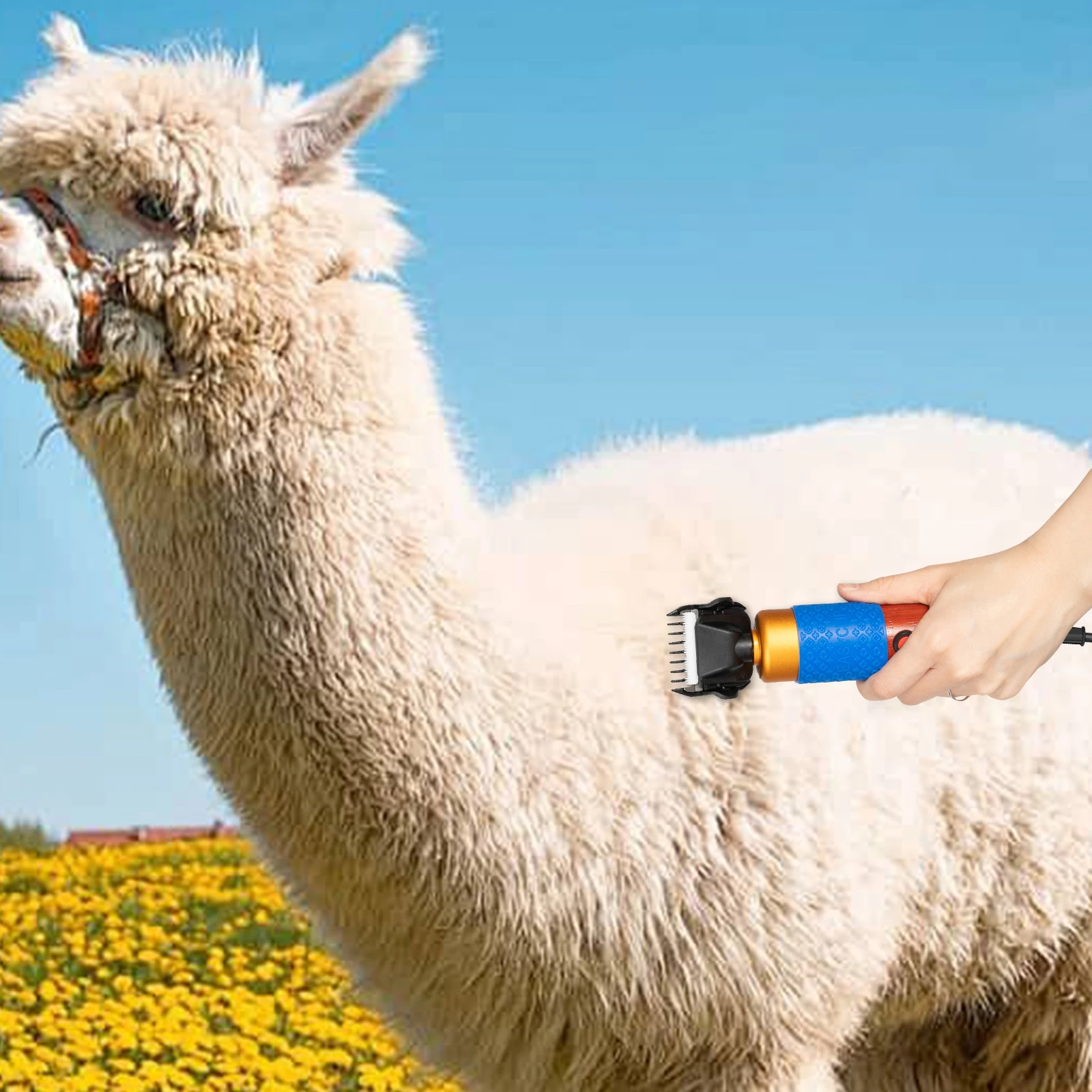 BYMAOCAR 10-футовые ножницы для овец, ручной резак мощностью 200 Вт с вилкой и 2 лезвиями для стрижки собак, кошек, коз, альпаки, лампе, ангорских кроликов
BYMAOCAR 10-футовые ножницы для овец, ручной резак мощностью 200 Вт с вилкой и 2 лезвиями для стрижки собак, кошек, коз, альпаки, лампе, ангорских кроликов