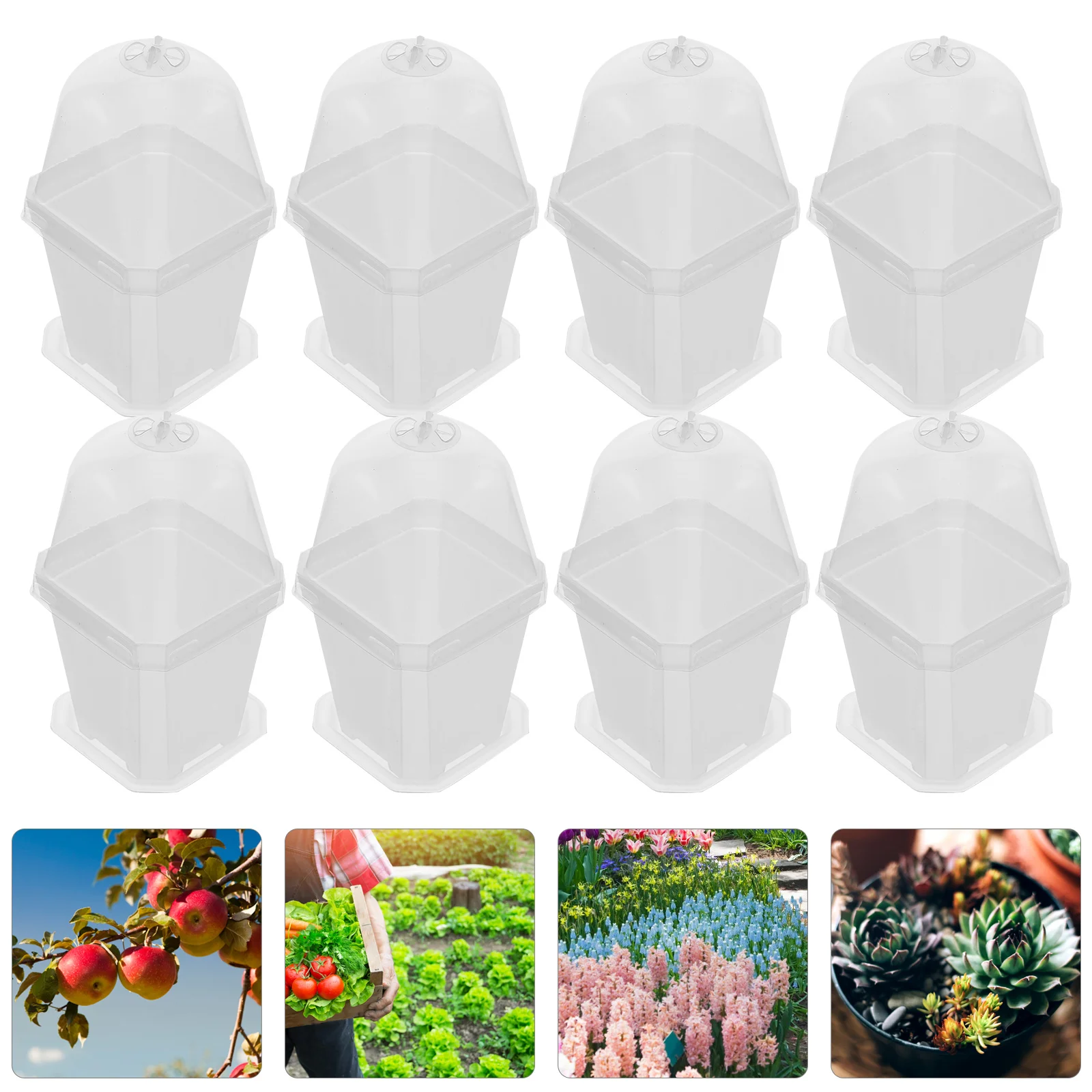 10 Pcs Insulated Seedling Pots Lightweight Practical Garden Plant Containers Plastic Flower Pots Balcony Office Home Breathing
10 Pcs Insulated Seedling Pots Lightweight Practical Garden Plant Containers Plastic Flower Pots Balcony Office Home Breathing