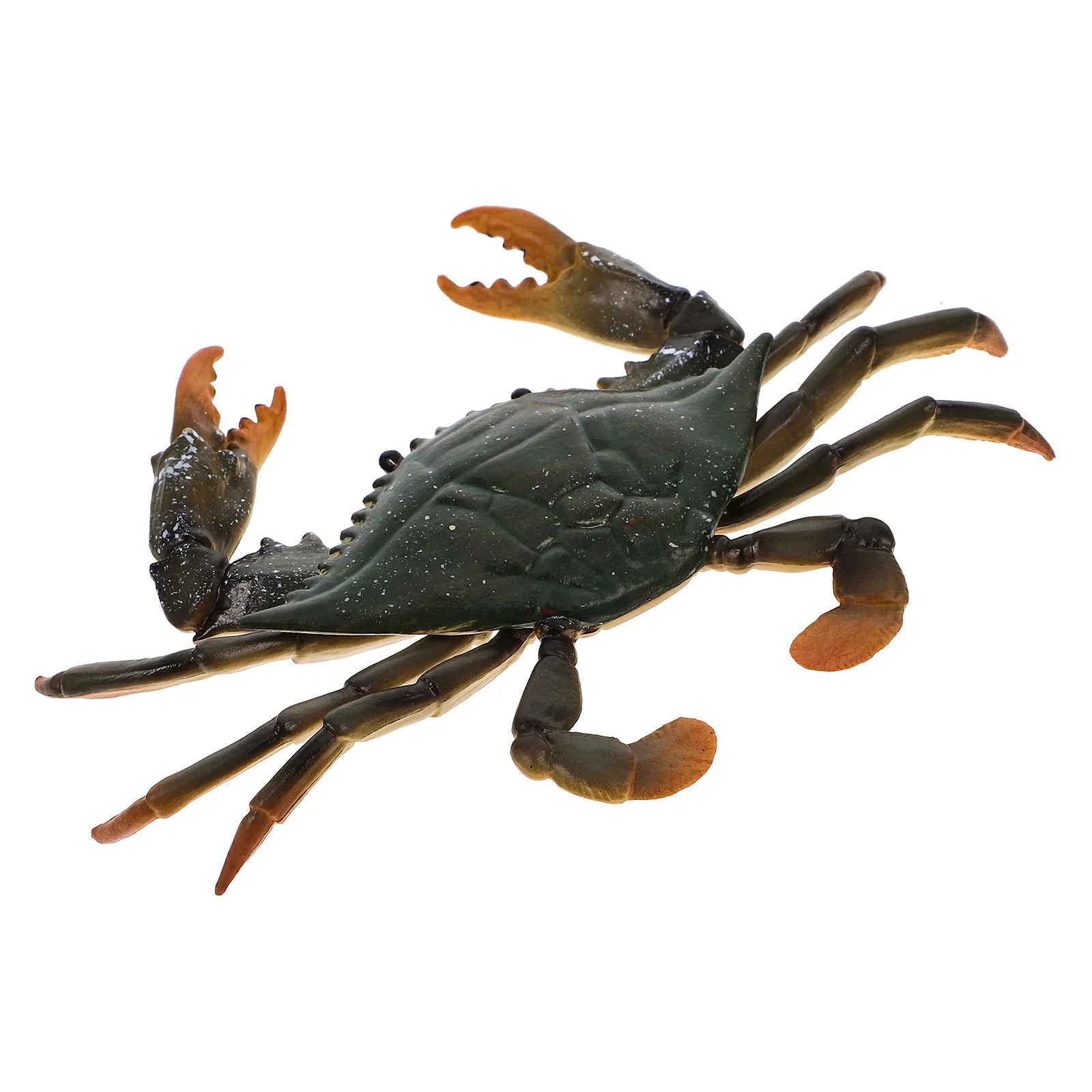 Simulation Crab Cognition Models Educational Toy Animal Toys Plastic Children's Kids Display
Simulation Crab Cognition Models Educational Toy Animal Toys Plastic Children's Kids Display