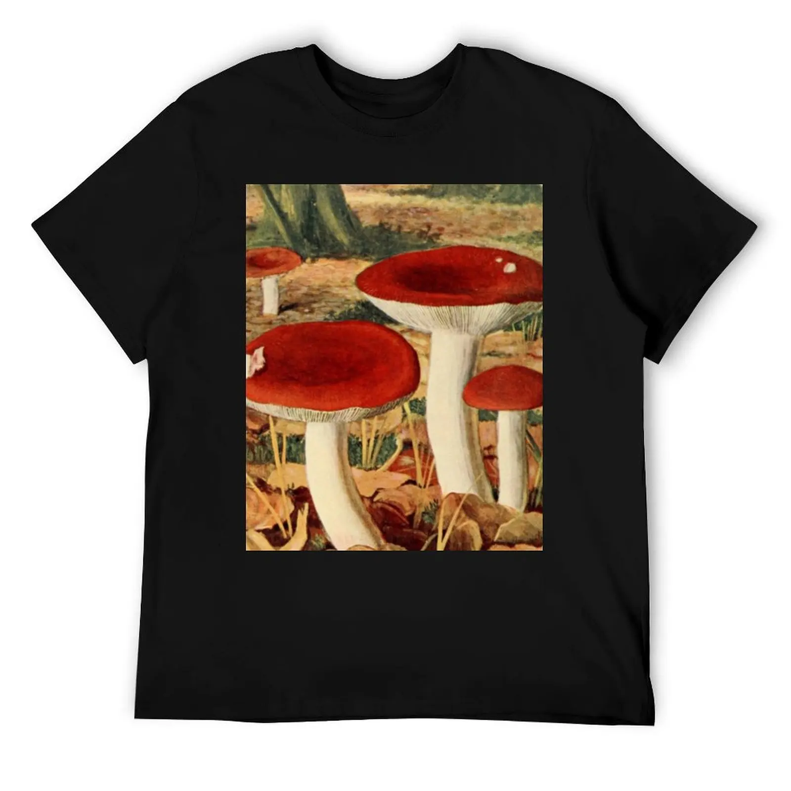 Naturalist Mushrooms T-Shirt man t shirt summer men t shirt cotton 100% t shirt personalised T-Shirt
Naturalist Mushrooms T-Shirt man t shirt summer men t shirt cotton 100% t shirt personalised T-Shirt