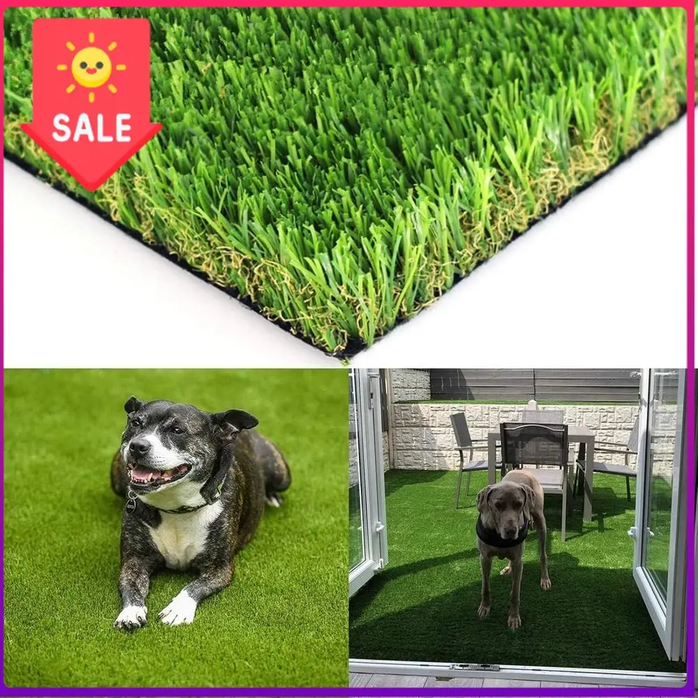 BestsellerThick Turf Artificial Grass Mat for Indoor and Outdoor Use - 5ft x 8ft (40 sq ft)
BestsellerThick Turf Artificial Grass Mat for Indoor and Outdoor Use - 5ft x 8ft (40 sq ft)