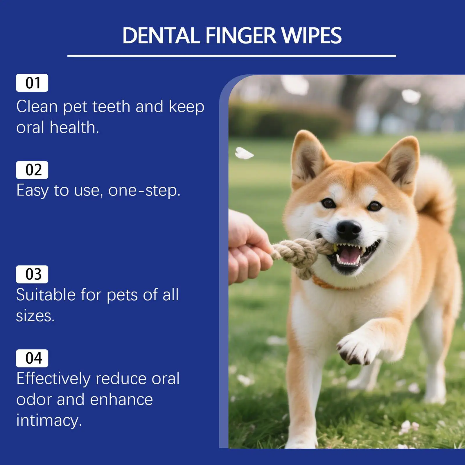 Dog Teeth Cleaning Wipes 50-Piece Gentle Professional Grooming Pet Teeth Cleaning Finger Wipes For Small Medium Large Breed
Dog Teeth Cleaning Wipes 50-Piece Gentle Professional Grooming Pet Teeth Cleaning Finger Wipes For Small Medium Large Breed