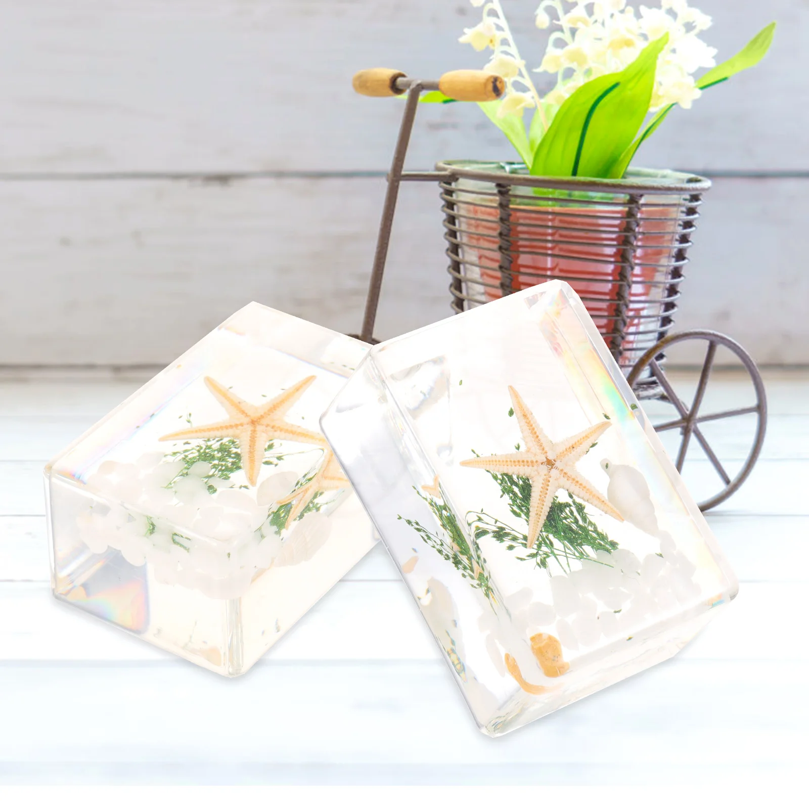 3pcs Specimen Decorations Ocean Resin Art Crafts Mini Transparent Teaching Aids Milky White Desk ornaments
3pcs Specimen Decorations Ocean Resin Art Crafts Mini Transparent Teaching Aids Milky White Desk ornaments
