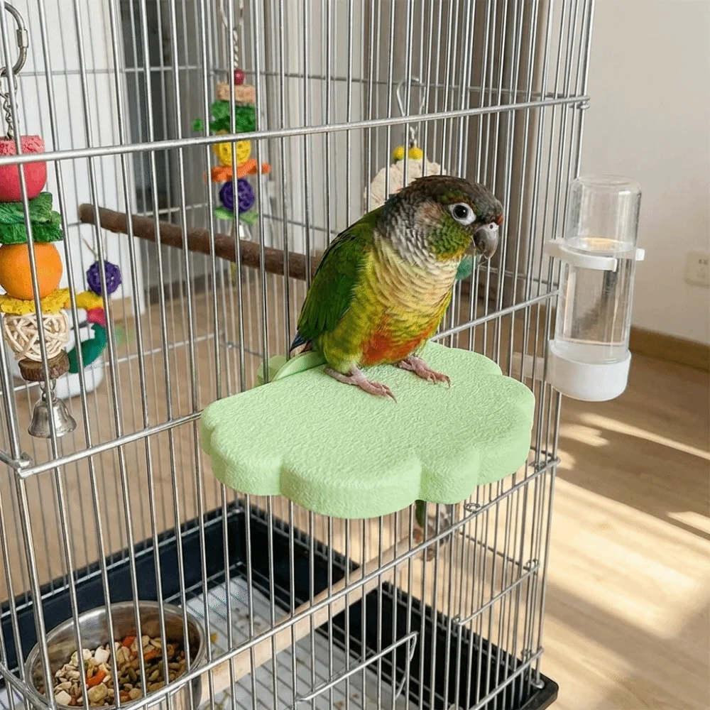 Cloud Shape Parrot Stand Wear Resistant Bite Resistant Bird Resting Platform Plastic Detachable Claw Sharpener Budgie
Cloud Shape Parrot Stand Wear Resistant Bite Resistant Bird Resting Platform Plastic Detachable Claw Sharpener Budgie