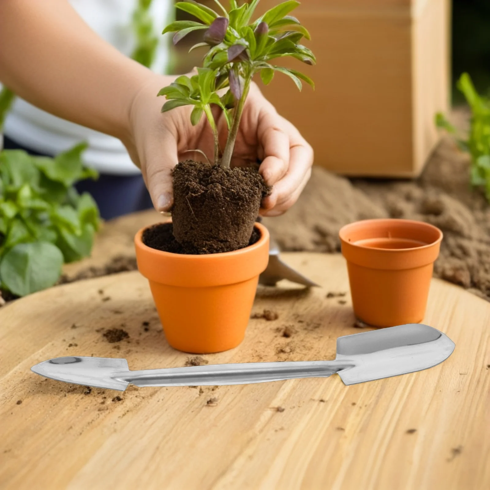 Stainless Steel Bonsai Tools Set Lightweight Precision Trimming For Home Office Garden Moss Landscaping Bonsai Gardening 
Stainless Steel Bonsai Tools Set Lightweight Precision Trimming For Home Office Garden Moss Landscaping Bonsai Gardening