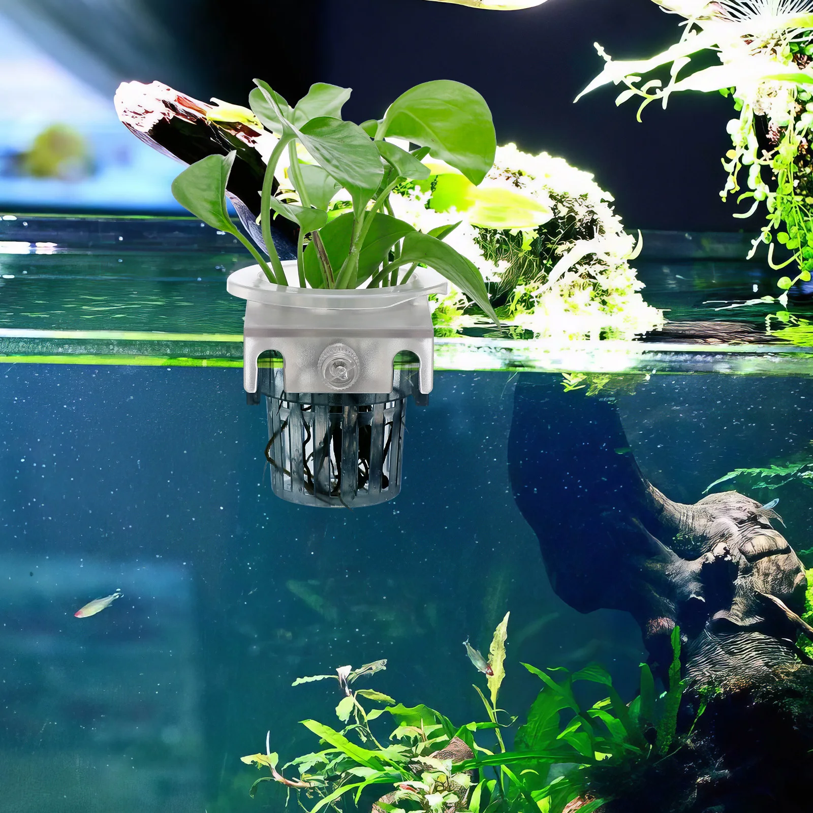 4pcs Aquarium Flower Pot Plant Holder for Fish Tanks Decorative Hanging Planter Cup Hydroponics Plastic Baskets Aquatic
4pcs Aquarium Flower Pot Plant Holder for Fish Tanks Decorative Hanging Planter Cup Hydroponics Plastic Baskets Aquatic