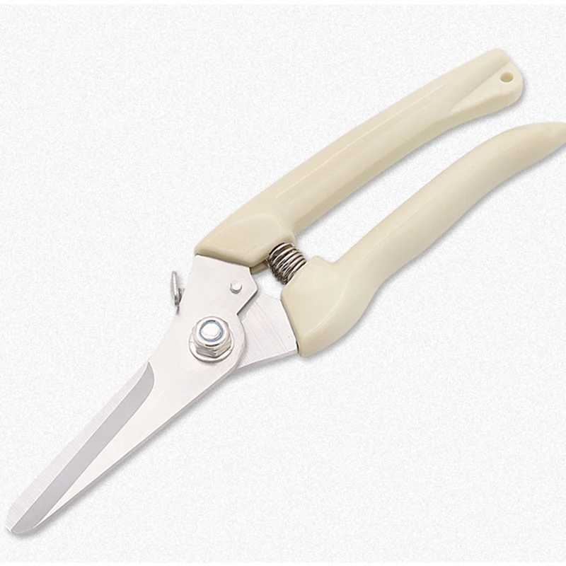 Professional Garden Pruner Orchard Garden Shears Hand Tools Bonsai for Scissors Gardening Chopper Pruning Shears Brush Cutter
Professional Garden Pruner Orchard Garden Shears Hand Tools Bonsai for Scissors Gardening Chopper Pruning Shears Brush Cutter