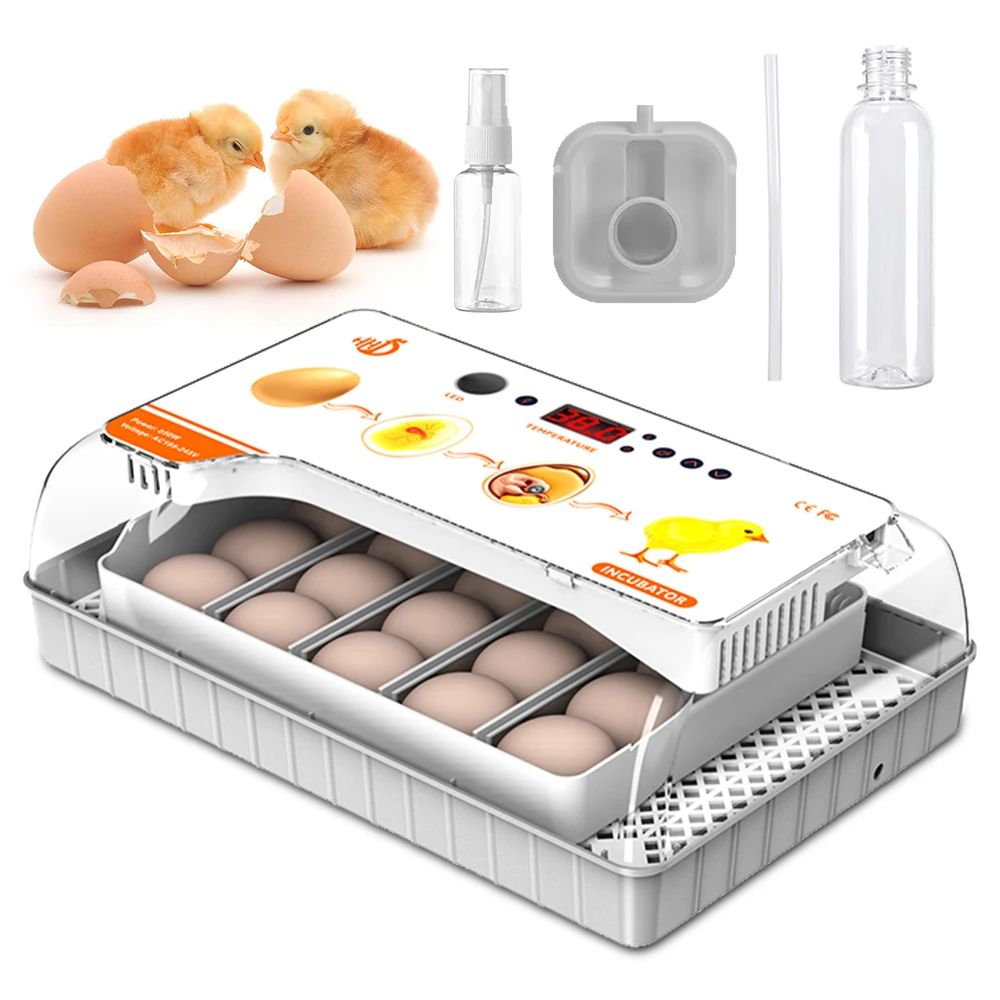 EW-20 Egg Capacity Professional Hatcher External Hydration Access Manufacturer's New Energy-Efficient Model
EW-20 Egg Capacity Professional Hatcher External Hydration Access Manufacturer's New Energy-Efficient Model
