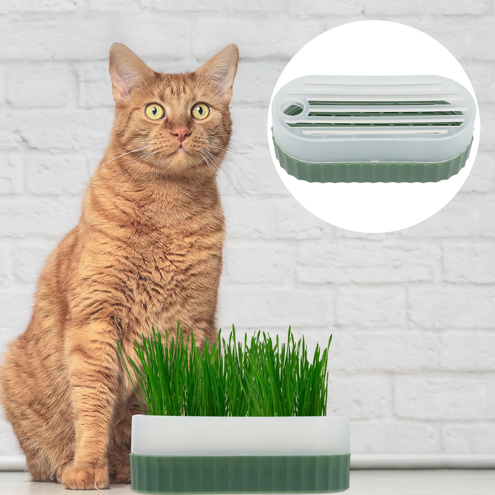 1Set Cat Grass Planting Box Soilless Culture Hydroponic Tray with Transparent Lid Roman Column Texture Eco Friendly Easy Use Cat
1Set Cat Grass Planting Box Soilless Culture Hydroponic Tray with Transparent Lid Roman Column Texture Eco Friendly Easy Use Cat