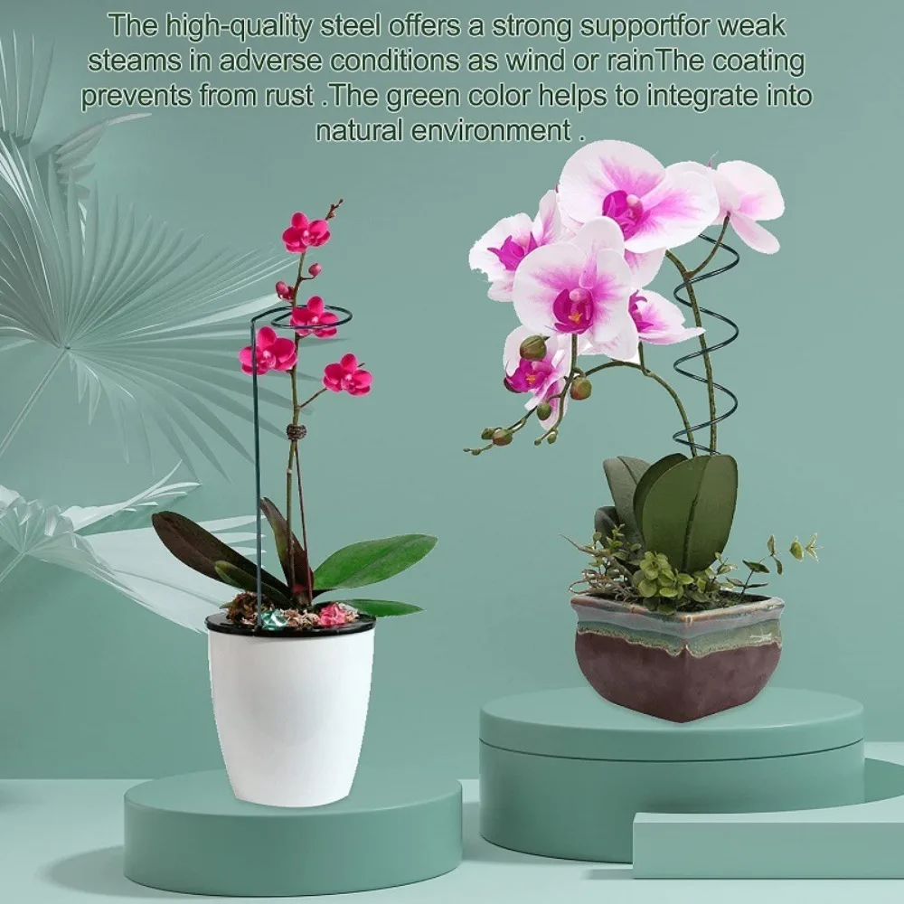 4pc Plant Support Twisted Plant Stakes Plastic Plant Cage Holder Flower Pot Climbing Trellis Tomato Stakes Phalaenopsis
4pc Plant Support Twisted Plant Stakes Plastic Plant Cage Holder Flower Pot Climbing Trellis Tomato Stakes Phalaenopsis