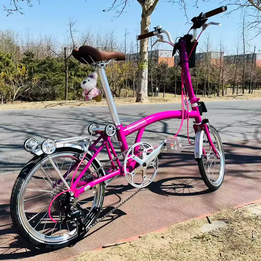 High Quality 9 Speed Folding Bicycle Ultra Light 20 Inch Adult Students Mini Bikes Full Shockingproof Frame Portable Bicycle
High Quality 9 Speed Folding Bicycle Ultra Light 20 Inch Adult Students Mini Bikes Full Shockingproof Frame Portable Bicycle