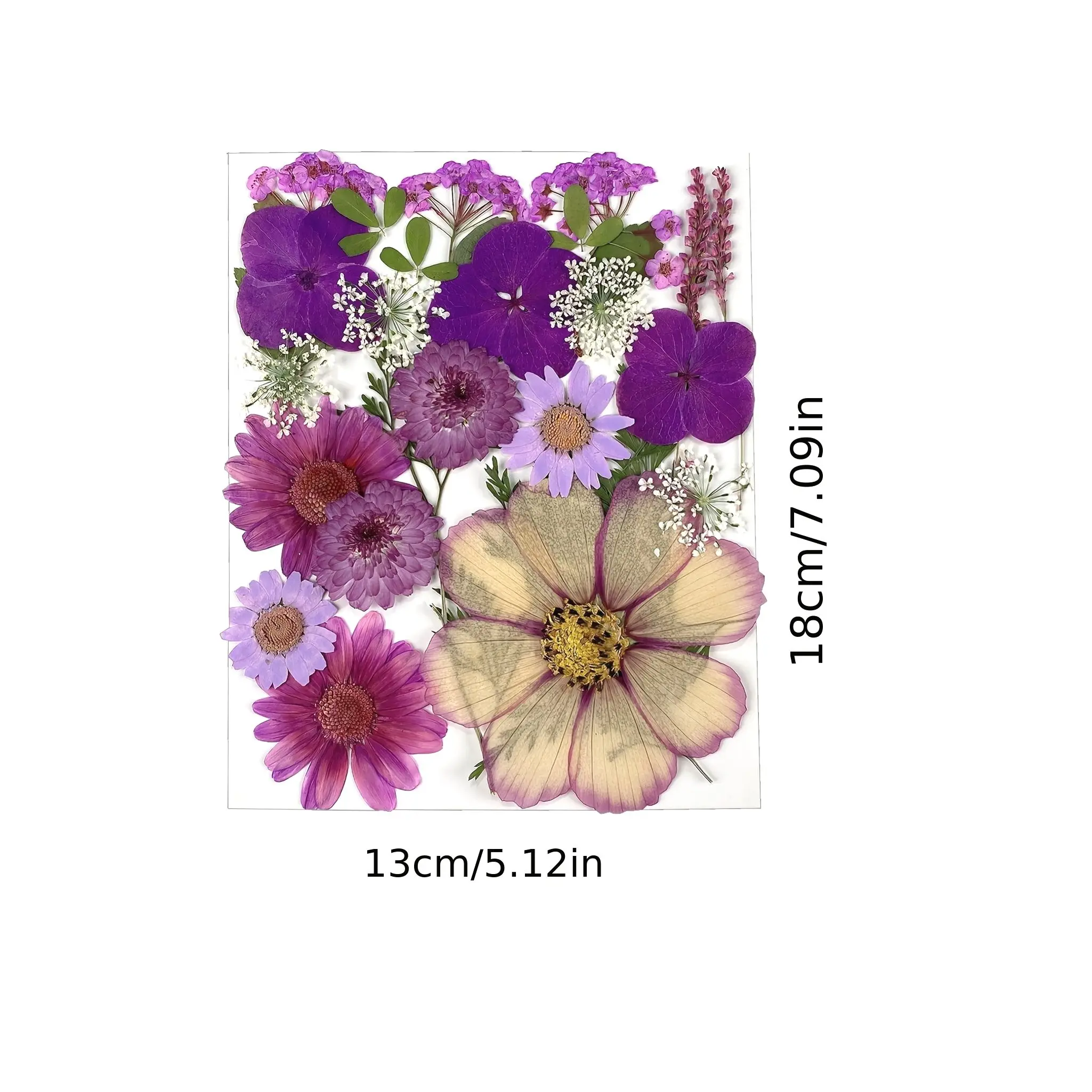 225pcs Dried Flower Craft Kit for DIY Photo Frames, Bookmarks, Coasters, Pendants, Hair Clips, Wind Chimes & More – Natural Flor
225pcs Dried Flower Craft Kit for DIY Photo Frames, Bookmarks, Coasters, Pendants, Hair Clips, Wind Chimes & More – Natural Flor