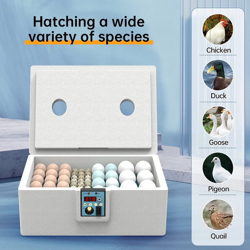 24-hour Thermostatic Small Poultry Egg Incubator Biomimetic Waterbed Fully Automatic Incubator Intelligent Chicken Duck Goose
24-hour Thermostatic Small Poultry Egg Incubator Biomimetic Waterbed Fully Automatic Incubator Intelligent Chicken Duck Goose