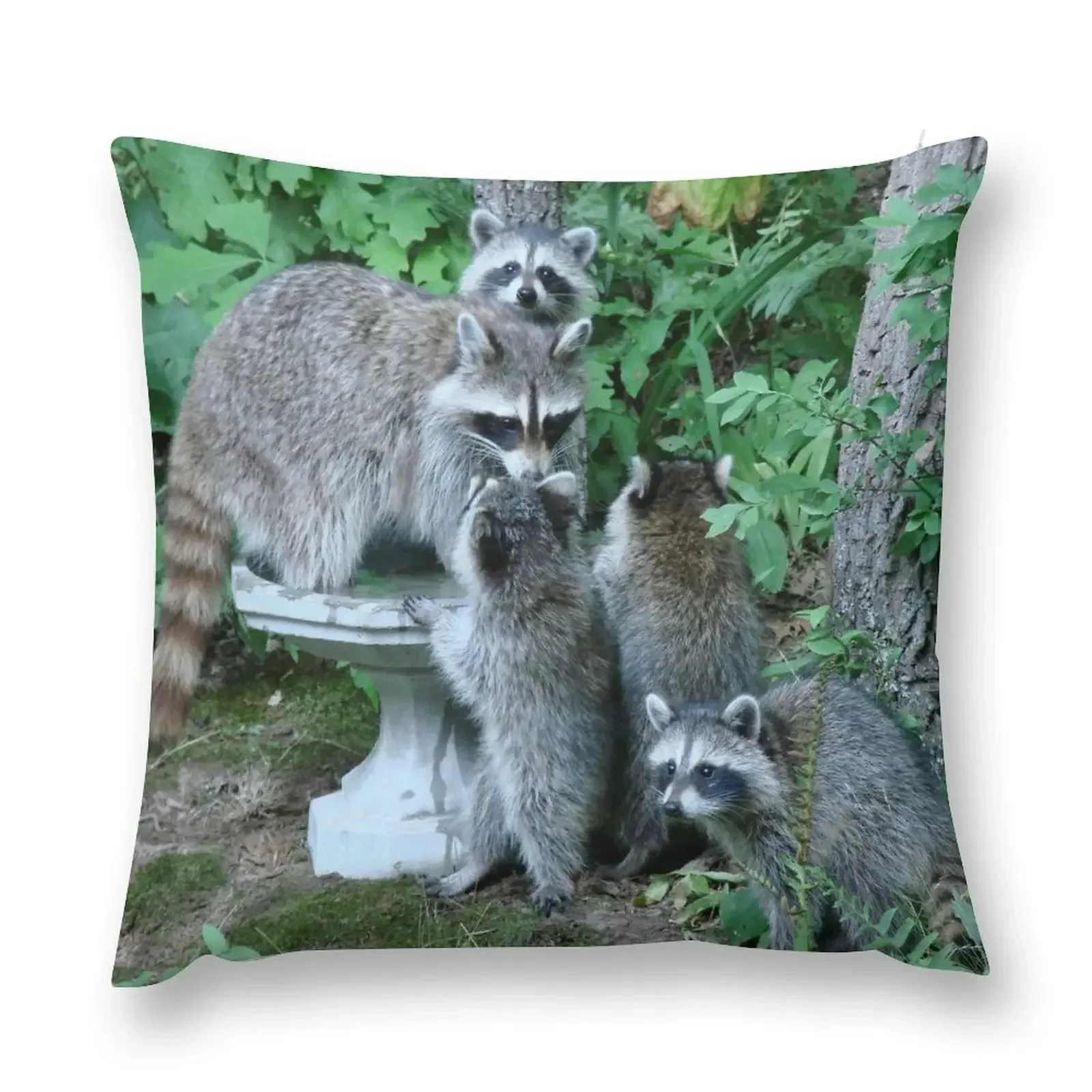 Raccoon Mom with 4 Kits Throw Pillow christmas decorations for home 2025 pillows decor home bed pillows pillow
Raccoon Mom with 4 Kits Throw Pillow christmas decorations for home 2025 pillows decor home bed pillows pillow
