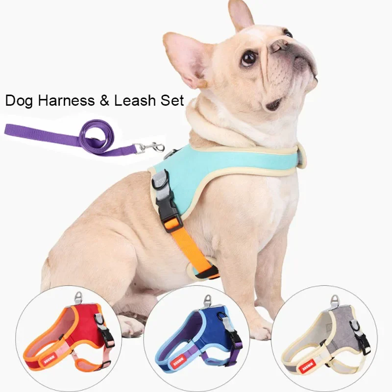 New Reflective Pet Dog Collar Leash Dog Harness Leash Set for Small Medium Large Dogs Nylon Suede Puppy Dogs Cats Harness Leash
New Reflective Pet Dog Collar Leash Dog Harness Leash Set for Small Medium Large Dogs Nylon Suede Puppy Dogs Cats Harness Leash
