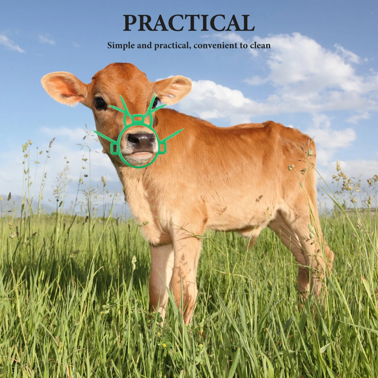 Weaner Calf Puller Cattle Farm Accessories Tools Nose Ring Not Hurt Cow Weaning
Weaner Calf Puller Cattle Farm Accessories Tools Nose Ring Not Hurt Cow Weaning