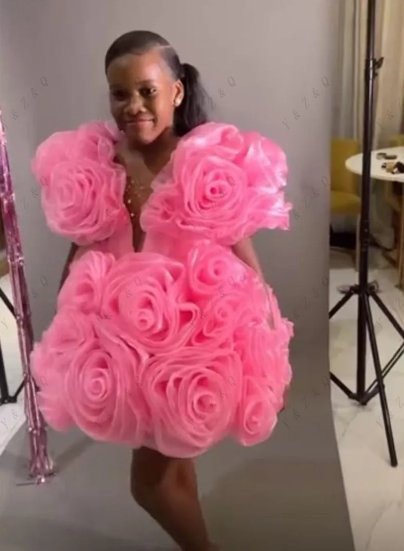 Pretty Pink Short Prom Gowns 3D Flower Girl Birthday Dresses with Sleeve Mini Length A Line Prom Dresses Beadaed Organza
Pretty Pink Short Prom Gowns 3D Flower Girl Birthday Dresses with Sleeve Mini Length A Line Prom Dresses Beadaed Organza