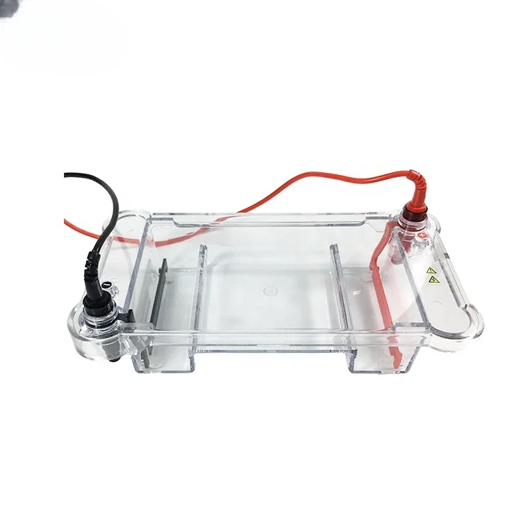 Laboratory Good Price Digital Horizontal DNA HB Gel Electrophoresis Machine with Cell
Laboratory Good Price Digital Horizontal DNA HB Gel Electrophoresis Machine with Cell