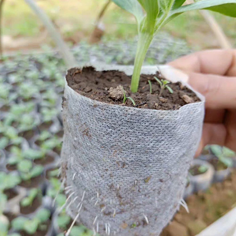 1Set Plant Nursery Bags Non-Woven Fabric Growing Bags for Vegetable Flower Fruit Seedling Breeding Gardening Supplies
1Set Plant Nursery Bags Non-Woven Fabric Growing Bags for Vegetable Flower Fruit Seedling Breeding Gardening Supplies