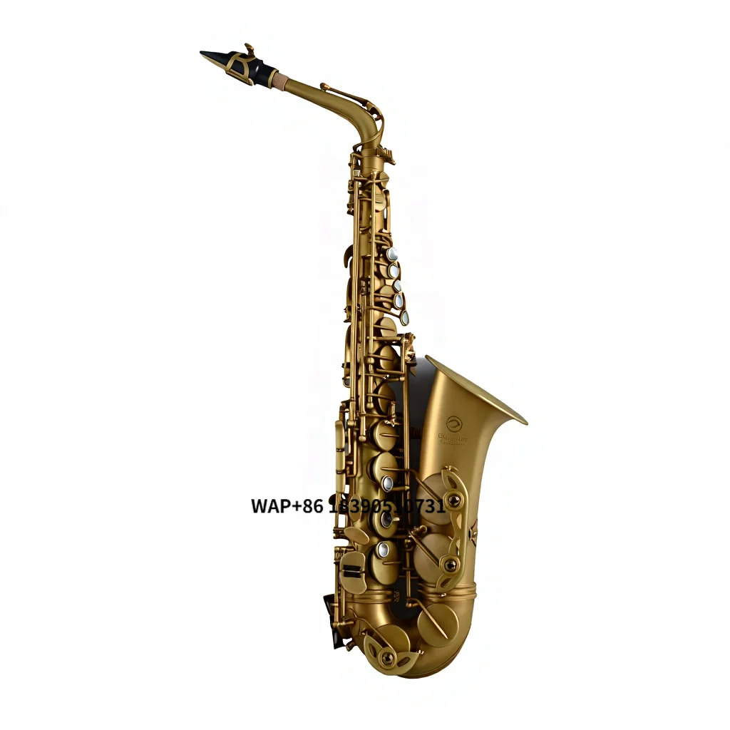Professional Vintage Satin Brass Unlacquered Alto Saxophone for Musicians and Concert
Professional Vintage Satin Brass Unlacquered Alto Saxophone for Musicians and Concert