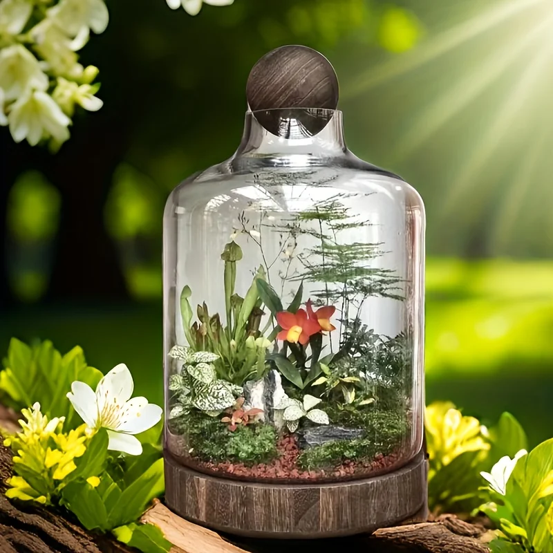 Glass Aquarium with Wooden Base Transparent Fish Tank Micro-Landscape Ecological Modern Goldfish Tank Home Art Decoration
Glass Aquarium with Wooden Base Transparent Fish Tank Micro-Landscape Ecological Modern Goldfish Tank Home Art Decoration