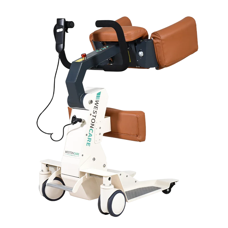 auxiliary shifter care electric lift for the elderly multi-function free hemiplegia shifter
auxiliary shifter care electric lift for the elderly multi-function free hemiplegia shifter