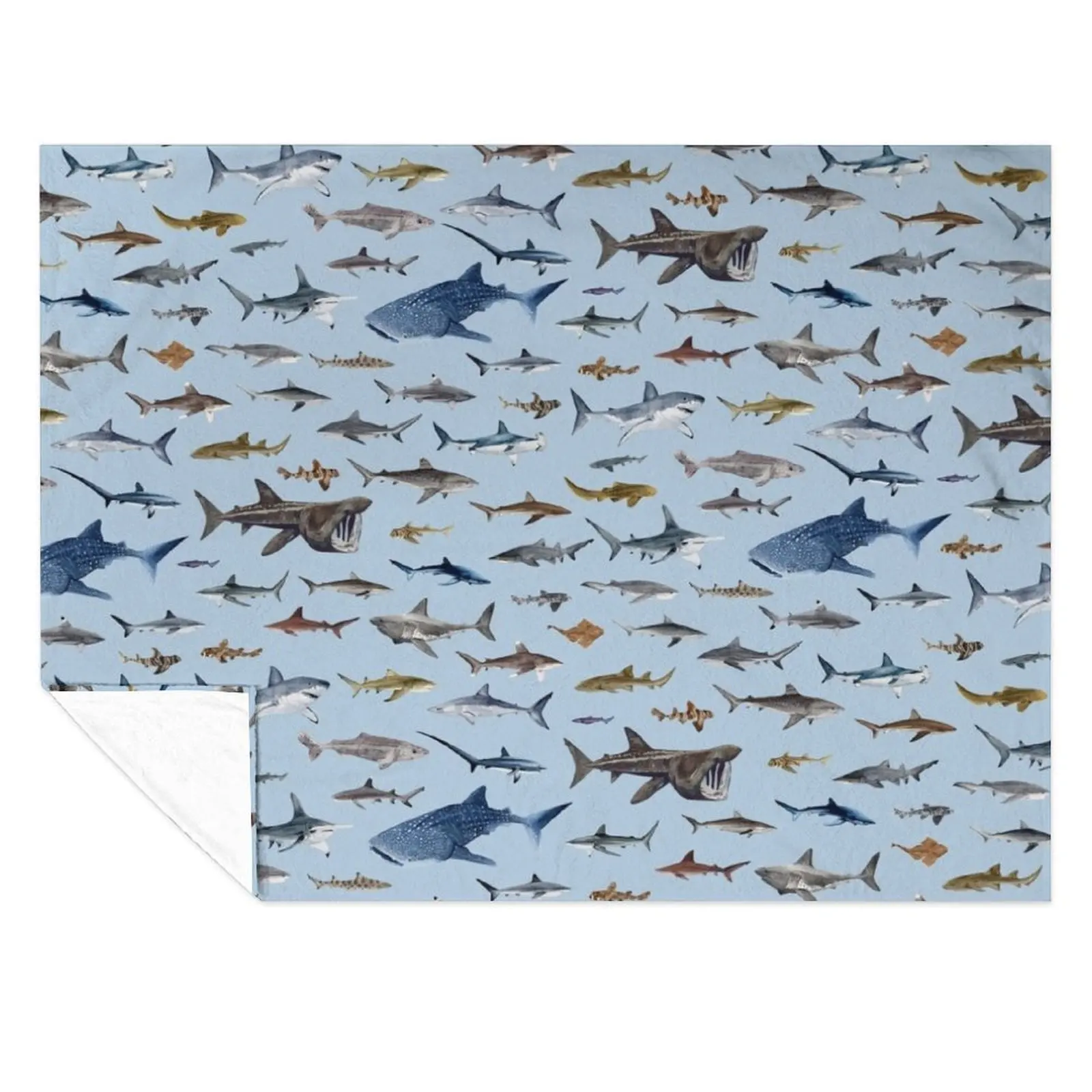 SHARKS poster-light blue Throw Blanket blankets ands Luxury Thicken Polar Blankets
SHARKS poster-light blue Throw Blanket blankets ands Luxury Thicken Polar Blankets