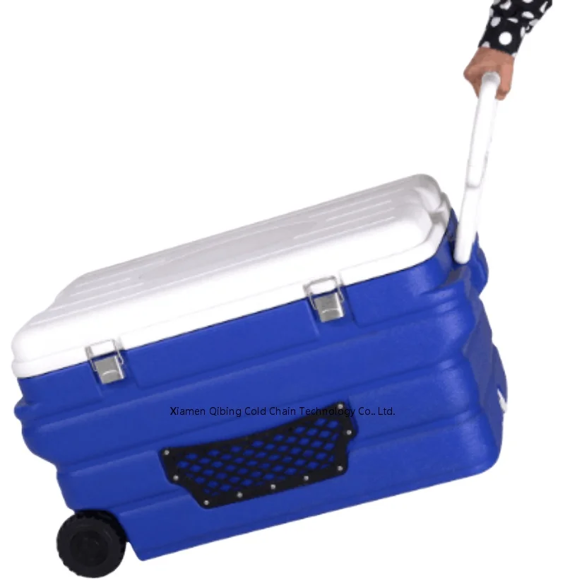 Outdoor Plastic Hot Ice Cooler Box Large Fishing Food Hard Ice Box Case Beer Cooler Box Wine Chest Cooler With Handle 
Outdoor Plastic Hot Ice Cooler Box Large Fishing Food Hard Ice Box Case Beer Cooler Box Wine Chest Cooler With Handle
